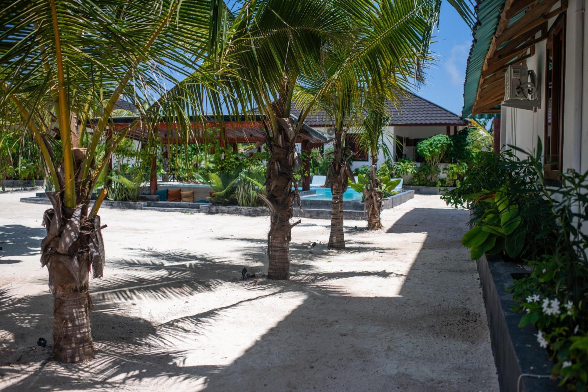 Baobab Apartamento Jambiani (Zanzibar)
