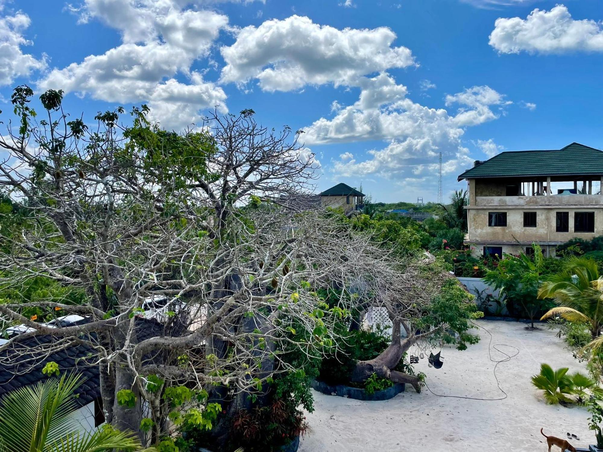 Apartamento Baobab